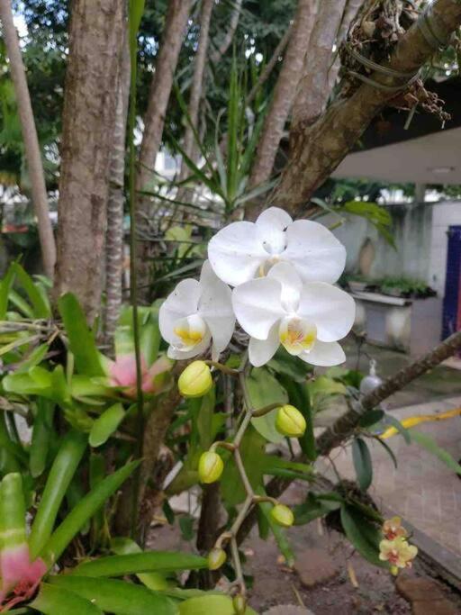 Casa Jd Oceanico - Barra Da Tijuca -rj Hébergement de vacances